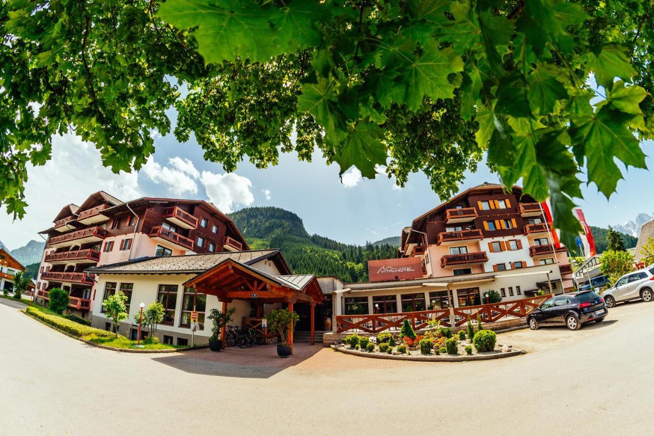 Modern Studio-Apartment In Gosau Near Hallstatt Exterior photo